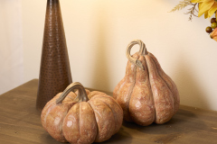 1_2pumpkins