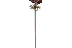 98051__1