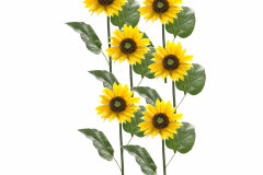 85573