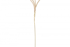 85643__1