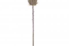 85655__1