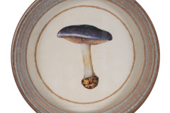 11077__1