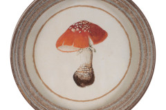 11077__2