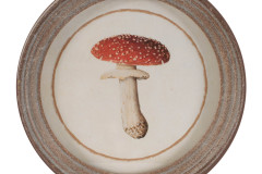 11077__3