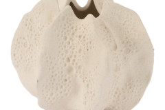11162