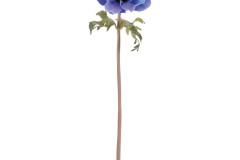 11354__1