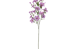 96514__1
