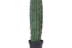 96534