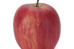 96553