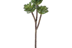 96581