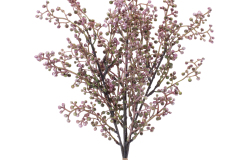 96770