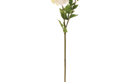 96887__1
