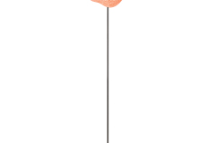 96913__1