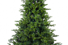 72796