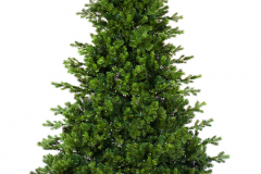 72797