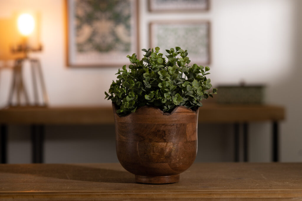 Tailored Oasis Potted Plant