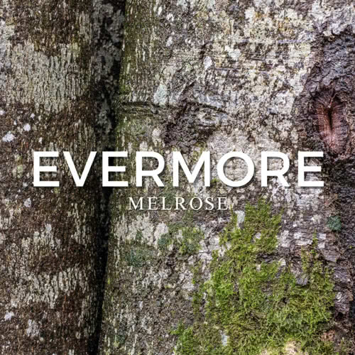 Melrose Evermore