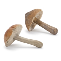 Mushroom (2 Asst)
4”H Resin
92218