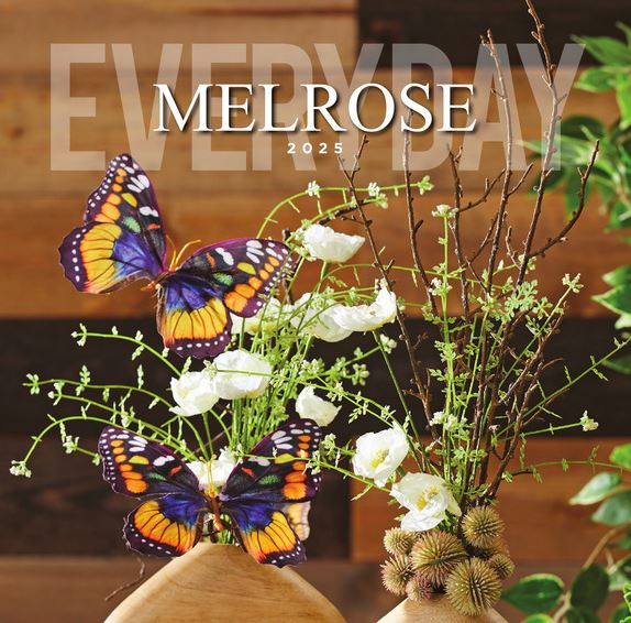 25A Everyday Catalog Cover_img