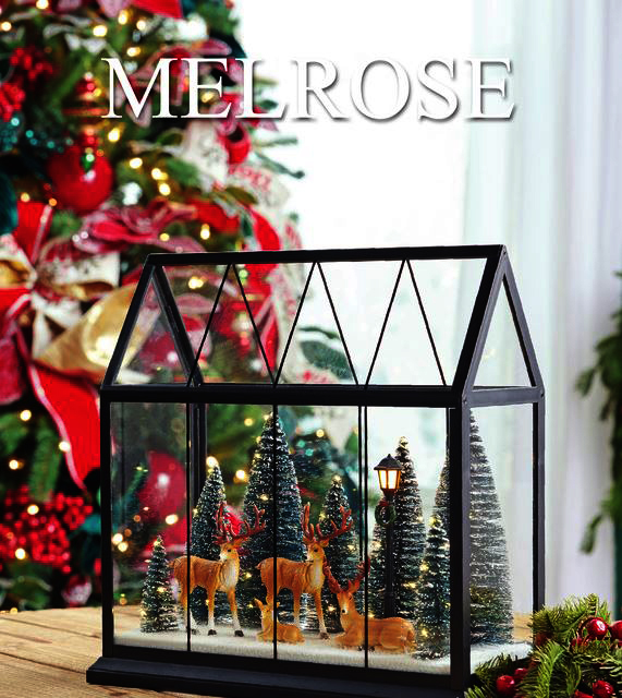 25XS Supplmental Cover_img