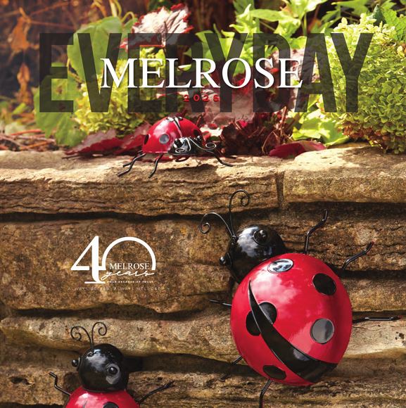 26A Everyday Catalog Cover_img